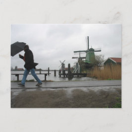 Vind och regn vid ZaRenas Schans Windmills vykort