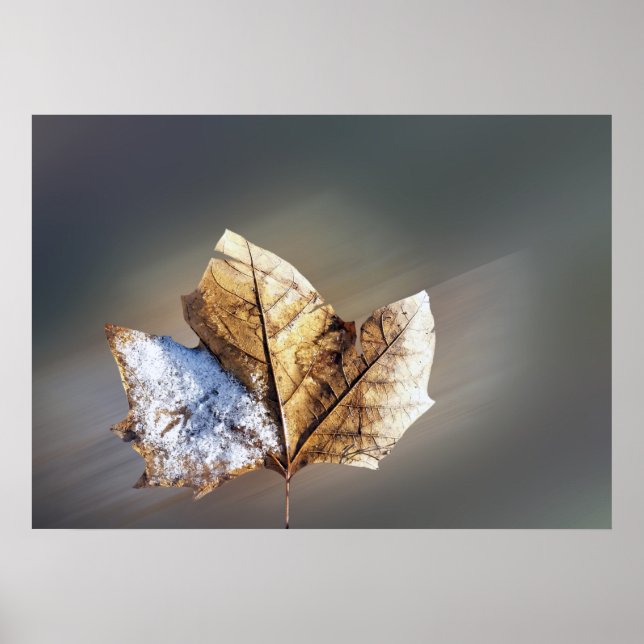 vind och snö poster (Framsidan)