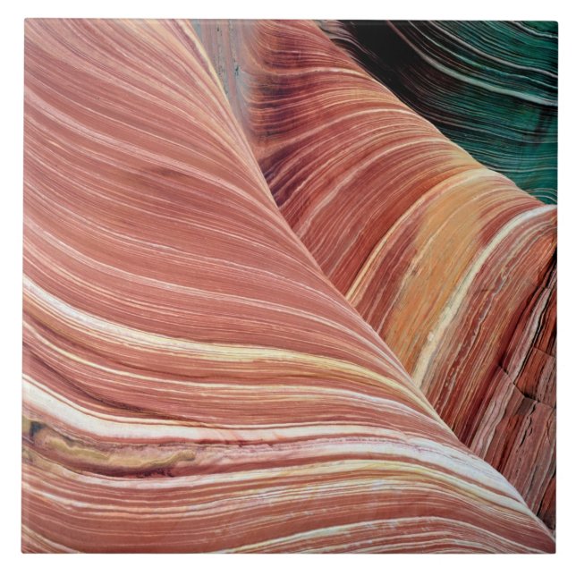 Vind och vatten eroderade Navajo-sandsten i Kakelplatta (Framsidan)