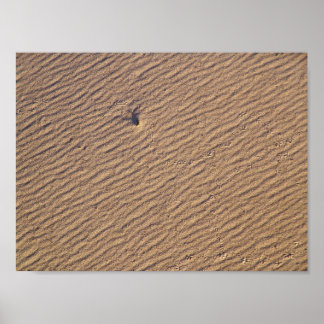 Vind Rippel i Sand VI - Färg mättad Poster