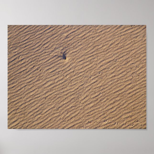 Vind Rippel i Sand VI - Färg mättad Poster (Framsidan)