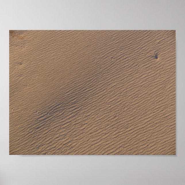 Vind Ripples in Sand II - Standard Poster (Framsidan)