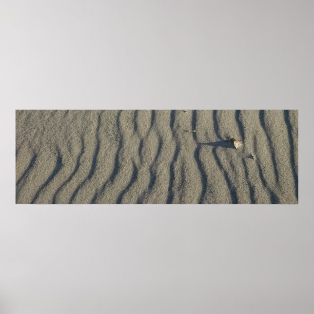Vind Sculpted Sand and Stone, i dynerna. Poster (Framsidan)