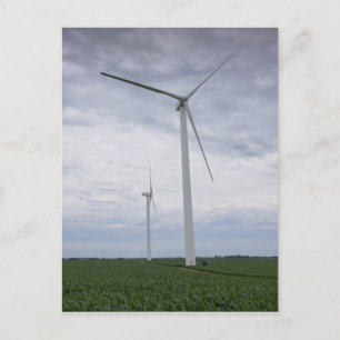 Vind Turbines in Cornfield Vykort
