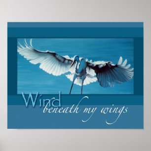 Vind under vingar 11 x 14 poster