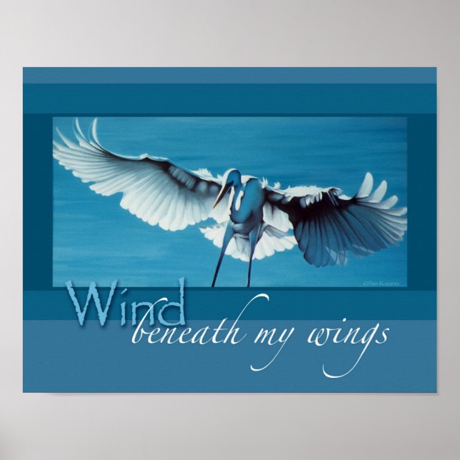 Vind under vingar 11 x 14 poster (Framsidan)