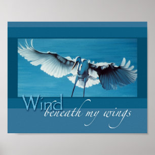 Vind under vingar 8 x 10 poster