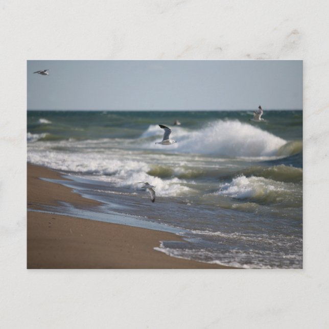 Vind Vykort (Framsida)