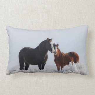 Vind Walker/Himlar Dancer Pillow Lumbarkudde