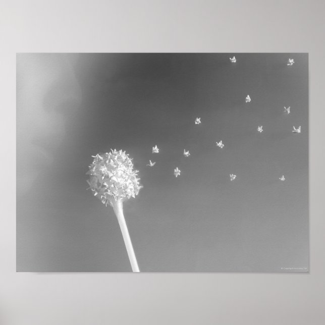 Vindens anda poster (Framsidan)