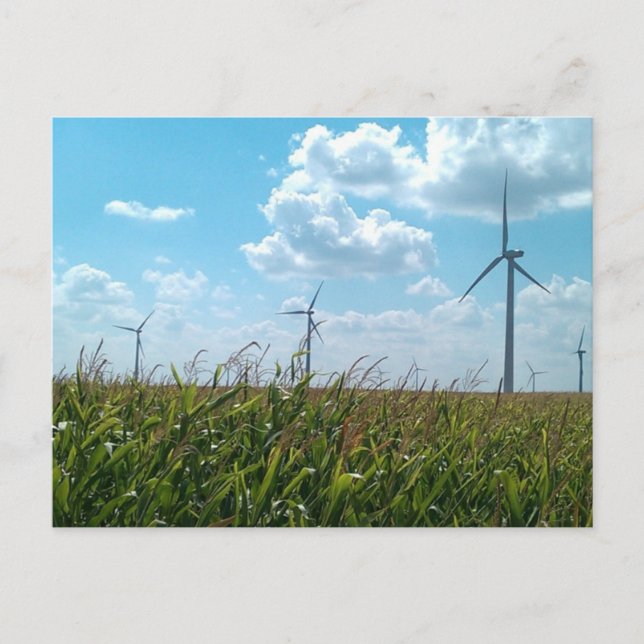 Vindens kraft vykort (Front)