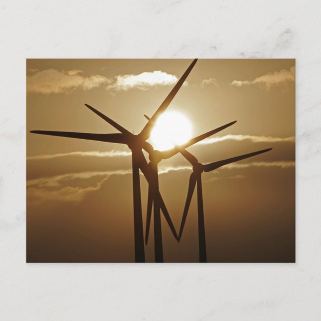 Vindens kraft vykort (Framsida)