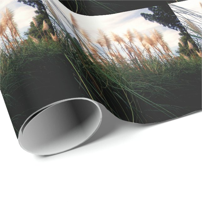 "Vindens viskare: Vita Pampas-gräs" Presentpapper (Rullad Hörn)