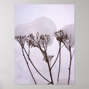 Vindkraft, växter i snö Poster Pappert