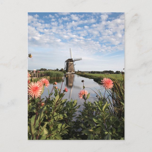 Vindkraftverk, blommor i Holland vertikal vykort (Framsida)