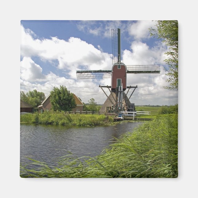 Vindkraftverk längs en kanal öster om Leiden i Magnet (Framsidan)