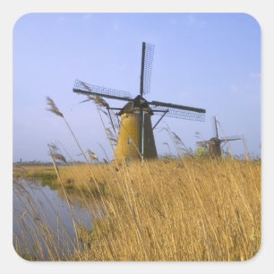Vindkraftverk längs kanalen i Kinderdijk, 2 Fyrkantigt Klistermärke