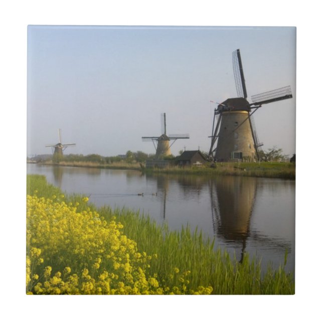 Vindkraftverk längs kanalen i Kinderdijk Kakelplatta (Framsidan)