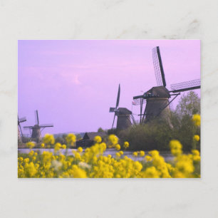 Vindkraftverk längs kanalen i Kinderdijk, Vykort