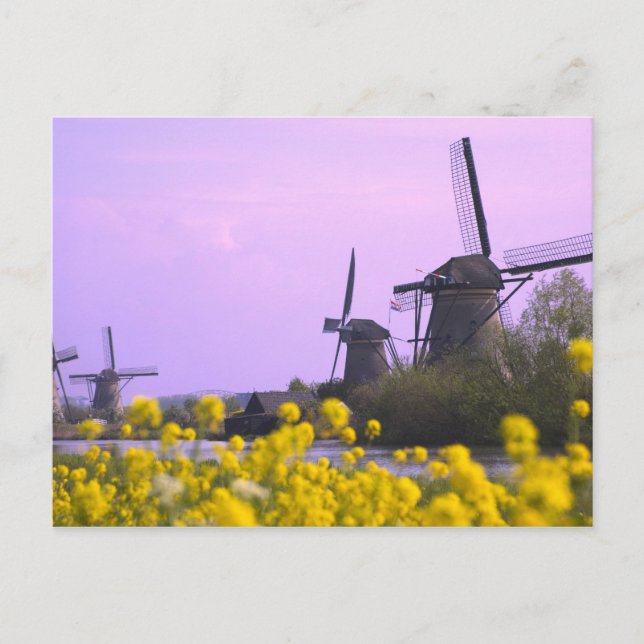 Vindkraftverk längs kanalen i Kinderdijk, Vykort (Framsida)