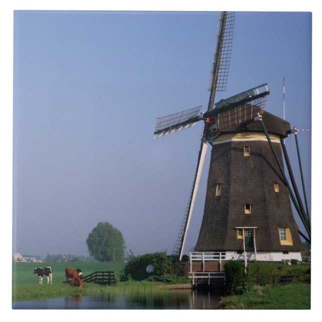 Vindkraftverk, Leidschendam, Nederländerna Kakelplatta (Framsidan)