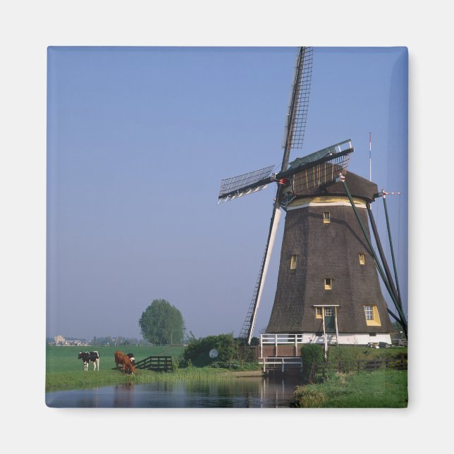 Vindkraftverk, Leidschendam, Nederländerna Magnet (Framsidan)