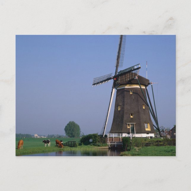 Vindkraftverk, Leidschendam, Nederländerna Vykort (Framsida)