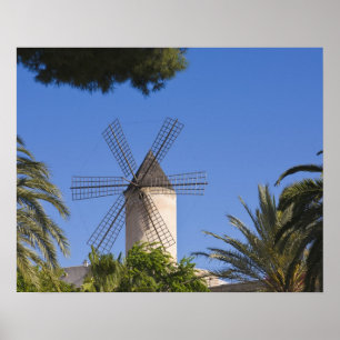 Vindkraftverk, Palma, Mallorca, Spanien Poster