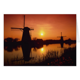 Vindkraftverk vid solnedgång, Kinderdijk, Nederlän Hälsningskort