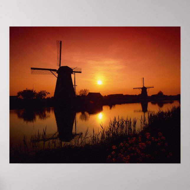 Vindkraftverk vid solnedgång, Kinderdijk, Nederlän Poster (Framsidan)