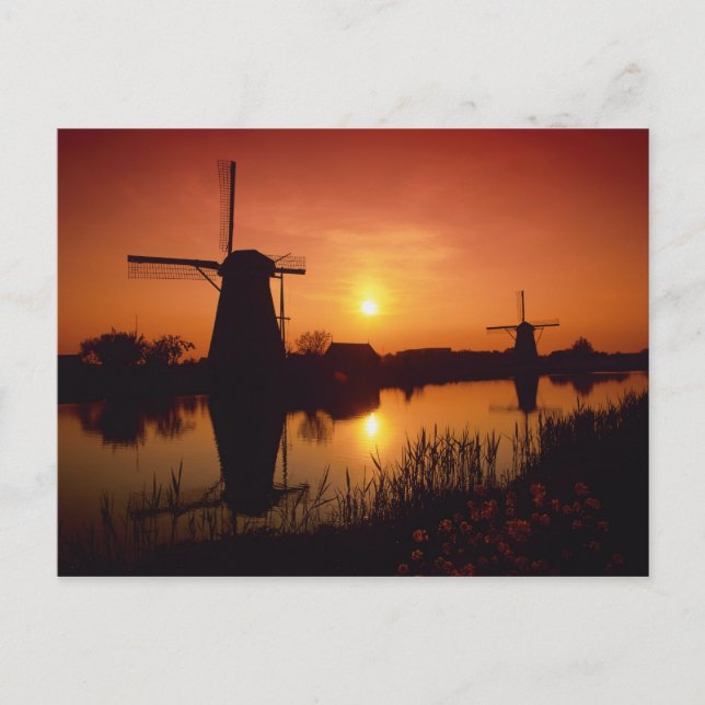 Vindkraftverk vid solnedgång, Kinderdijk, Nederlän Vykort (Framsida)