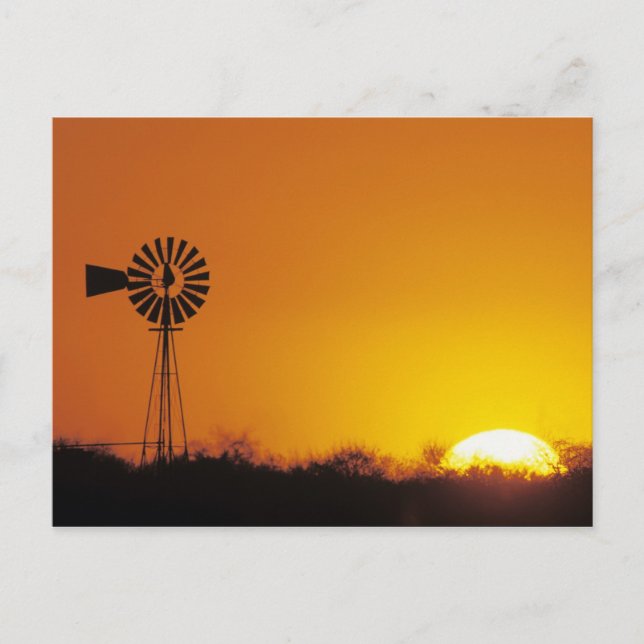 Vindkraftverk vid solnedgång, Sinton, Texas, USA Vykort (Framsida)