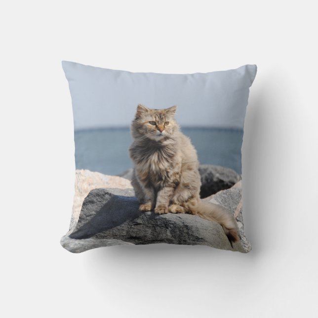 Vindpinad katt vid havet Söt bild Kudde (Framsida)
