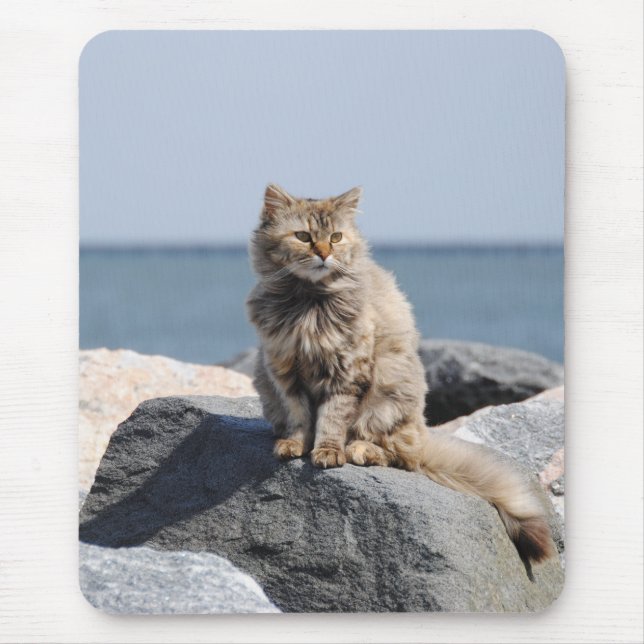 Vindpinad katt vid havet Söt bild Musmatta (Framsidan)