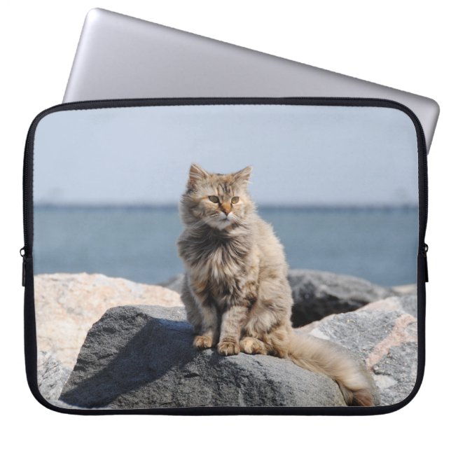 Vindpinad katt vid havsfoto laptop fodral (Framsidan)
