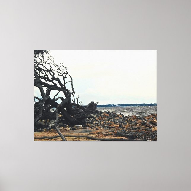 Vindpinad Träd vid Klippig Strandlinje Canvastryck (Framsida)