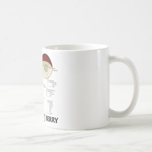 Vindruvabär (anatomi) kaffemugg