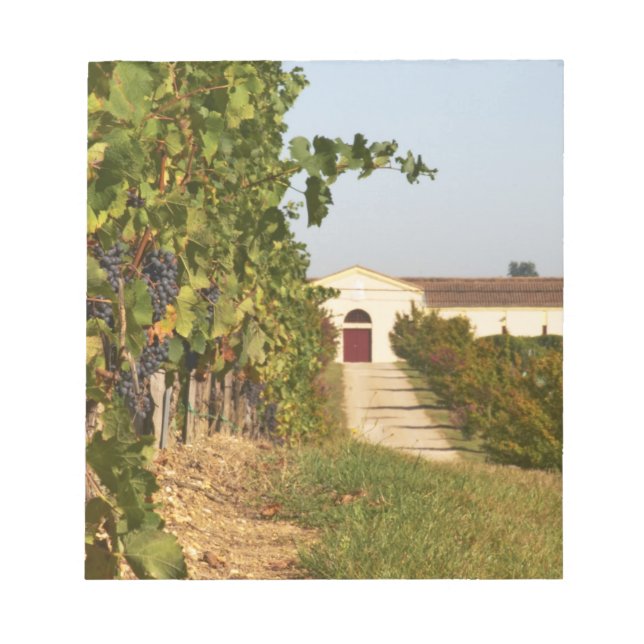 Vindruvor, petit verdot-vinrankor och vingården i anteckningsblock (Framsida)