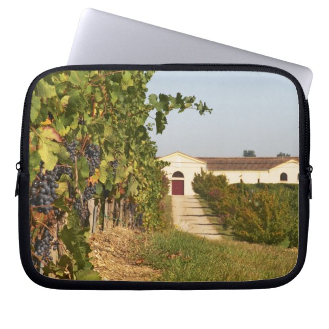 Vindruvor, petit verdot-vinrankor och vingården i laptop sleeve (Framsidan)
