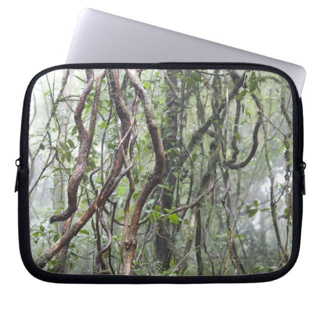 vine och grenar som vrids i rainforest laptop sleeve (Framsidan)