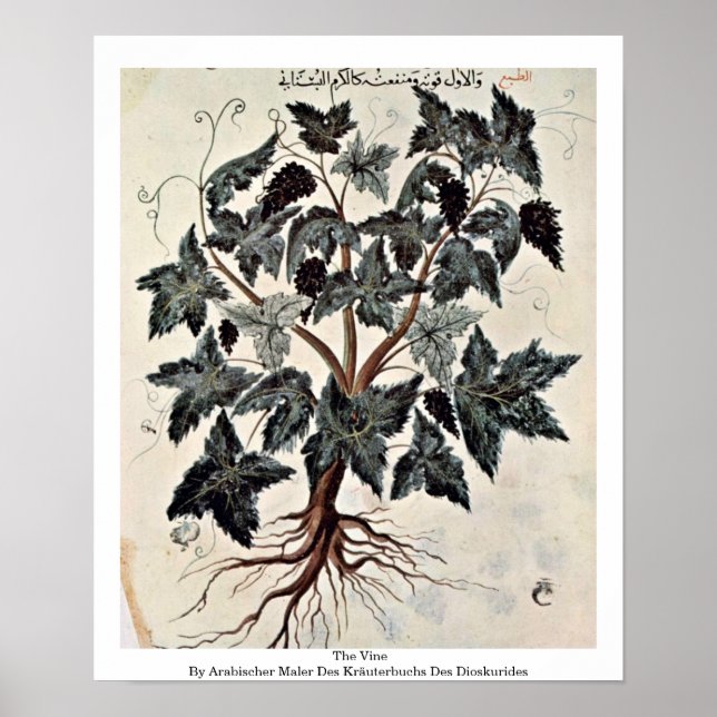 Vinet Poster (Framsidan)