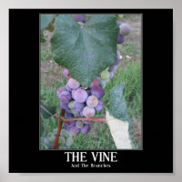 Vinet