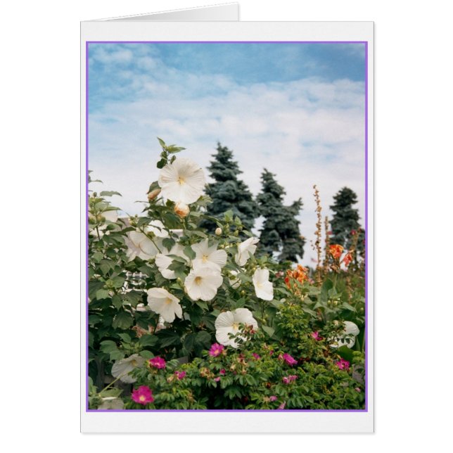 Vineyard Garden Card Hälsningskort (Framsidan)