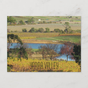 vineyard i dalveyard vykort