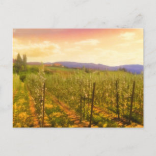 Vineyard i Dawn Kelowna British Columbia Kanada Vykort