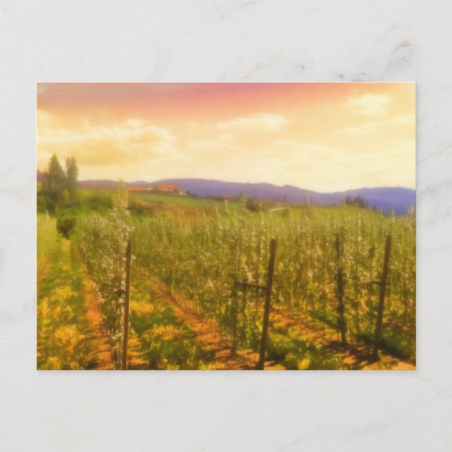 Vineyard i Dawn Kelowna British Columbia Kanada Vykort (Framsida)