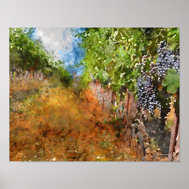 Vineyard i Napa Valley California Poster (Framsidan)