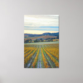 Vineyard i Sunset Canvastryck