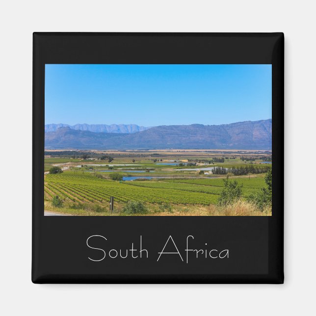 Vineyard Ligcape South Afrika SA Magnet (Framsidan)
