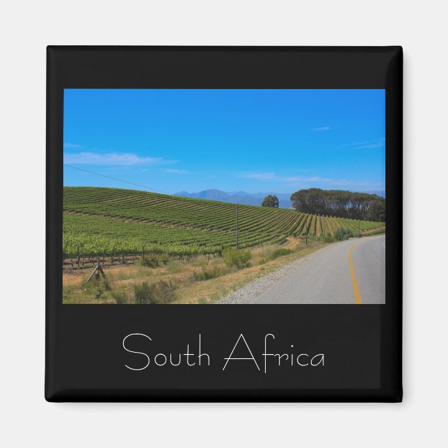 Vineyard Ligcape South Afrika SA Magnet (Framsidan)